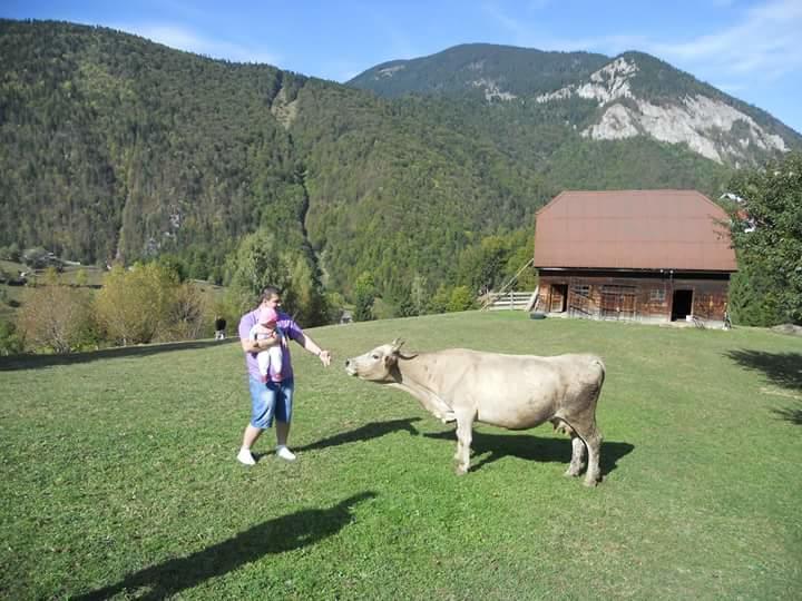 Pensiunea Casa Dobre Magura Kültér fotó